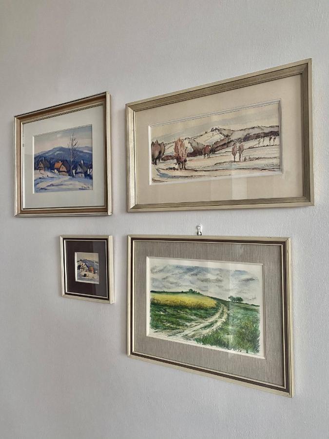 Prázdninový dům Holubka Nove Mesto na Morave Esterno foto